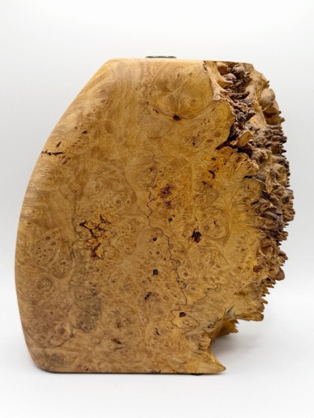 MAPLE LEAF STUDIO Maple Burl Vase Sculpture 6.5” Wide X 7” Tall